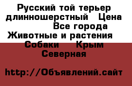 Русский той-терьер длинношерстный › Цена ­ 7 000 - Все города Животные и растения » Собаки   . Крым,Северная